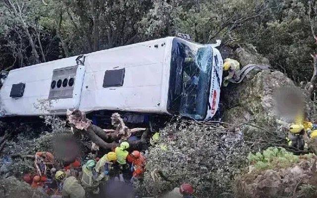 Под Барселоной автобус упал с обрыва, пострадали 83