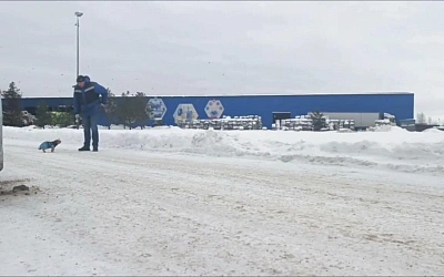 В Санкт-Петербурге на заводе по переработке отходов нашли крохотную собаку