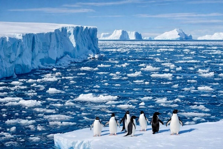 Антарктида теряет ледяные площади размером с город