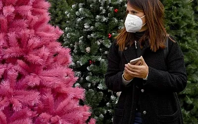 Любители живых елей дома могут столкнуться с неожиданностью