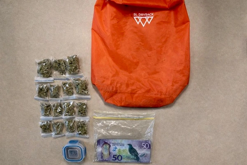 в новой зеландии в секонд-хенд отдали сумку с травой