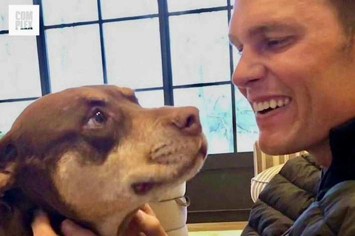 Том Брэди и собака, вернувшаяся будто из прошлого