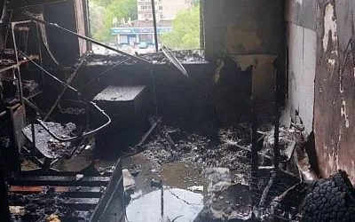 В Москве коты спалили целую квартиру