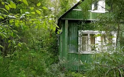 Дачников могут начать штрафовать за отсутствие работы на участке