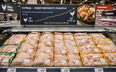 Курица стала мясом новой эпохи