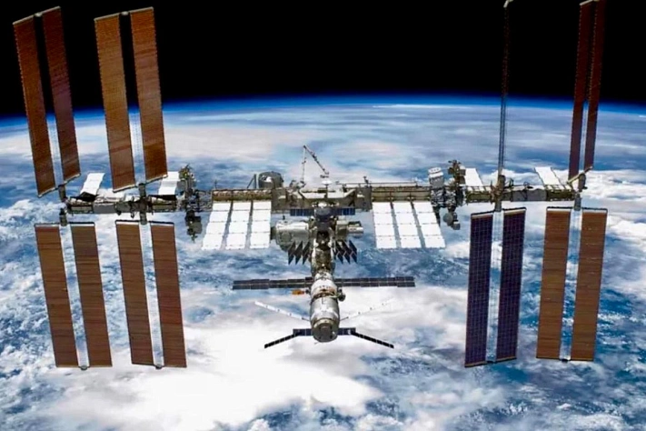 Мхи, которые пережили космос и вернулись к жизни