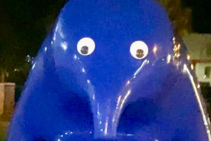 Глаза для «Синего» в Маунт‑Гамбире обернулись судом