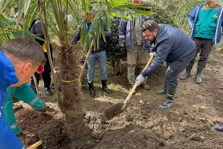 В Ялте создают один из самых больших розариев города