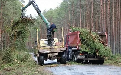 Руководители компаний по утилизации отходов в Подмосковье предстанут перед судом