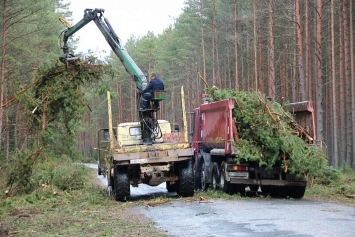 Руководители компаний по утилизации отходов в Подмосковье предстанут перед судом