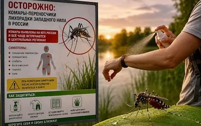 Комары с вирусом Западного Нила идут севернее