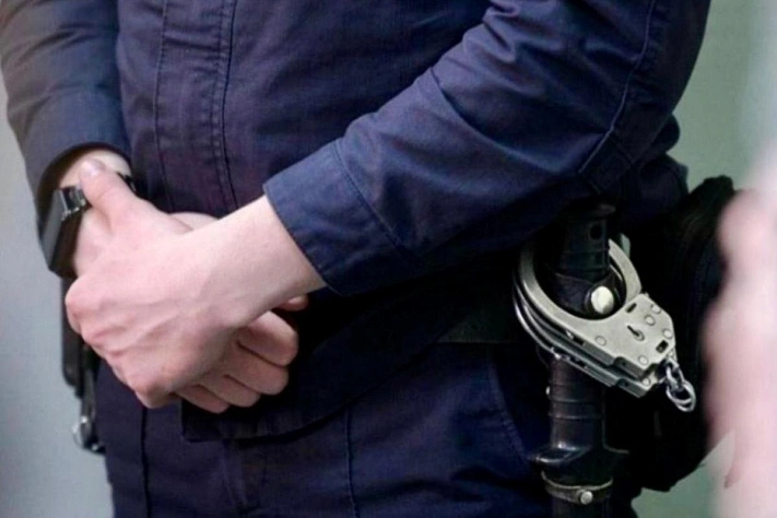 Арест Ирины Рудницкой в Москве по делу о торговле детьми