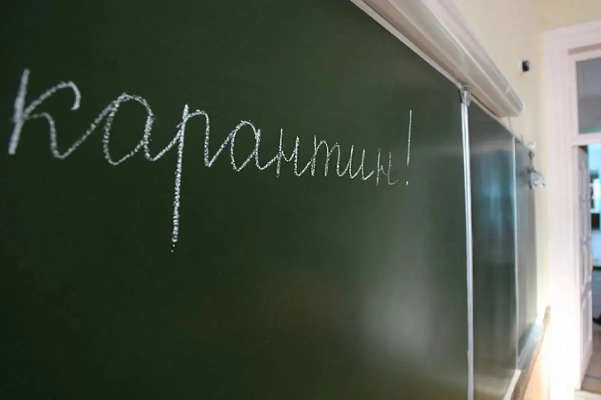 В Кузбассе и в Новосибирской области школы начали переводить на дистант