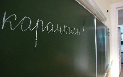 В Кузбассе и в Новосибирской области школы начали переводить на дистант
