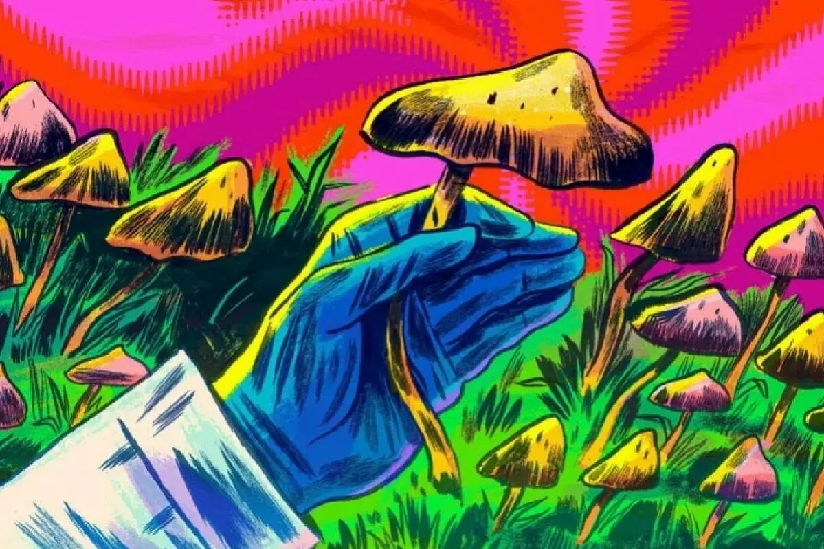 Можно ли умереть от галлюциногенных грибов? 