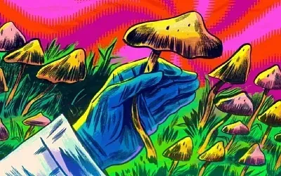 Можно ли умереть от галлюциногенных грибов? 