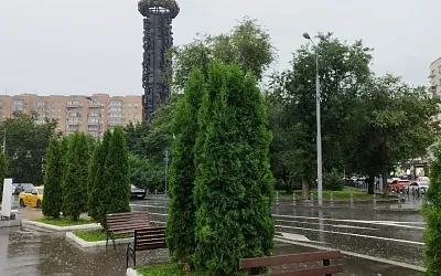 Мощный циклон принесёт в Москву и Подмосковье затяжные дожди