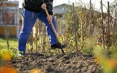 Как перехитрить весеннюю гонку и получить урожай раньше соседей