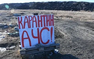 В российском регионе введён режим ЧС из-за болезни
