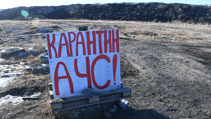 В российском регионе введён режим ЧС из-за болезни