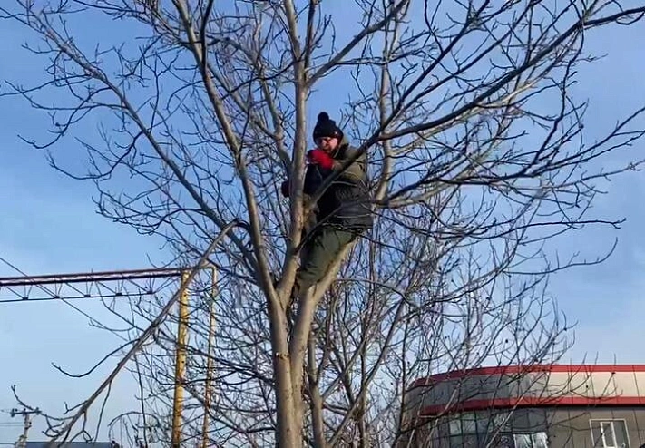 «Он у нас очень активный»: мэра российского города застукали на дереве