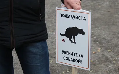 Россиян хотят штрафовать за отказ убирать за собакой