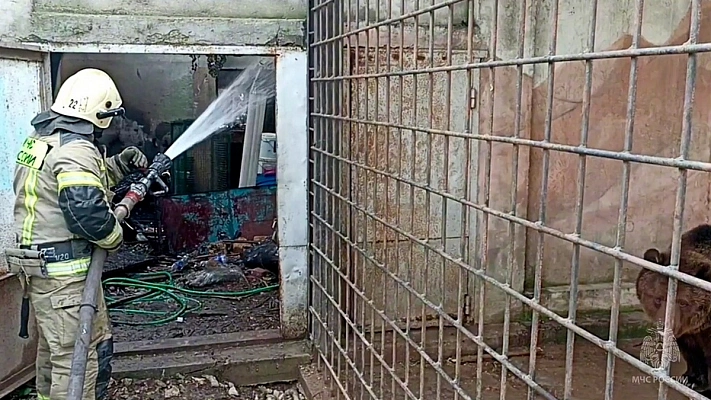 Более 200 животных погибло при пожаре контактного зоопарка в Евпатории