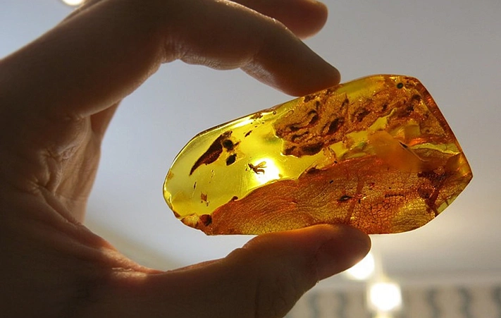 Солнечный камень из русской Прибалтики массово скупает Китай