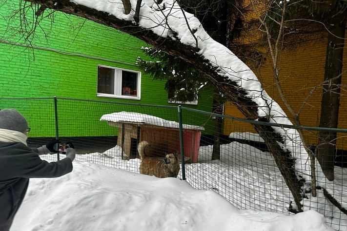 Жители Химок добились возвращения пса Фили в детский сад