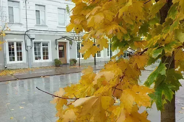 В начале ноября в Москве и Подмосковье похолодает до −5 градусов