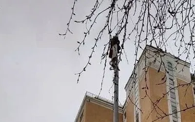Электрик четыре часа просидел на фонарном столбе 
