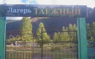 В Тыве зафиксировано второе за два дня нападение на детский лагерь