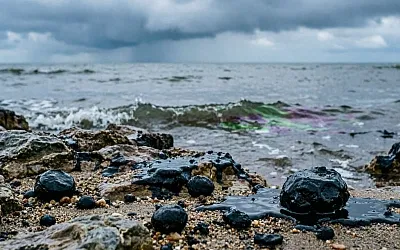 На Сахалине более 8 км побережья  загрязнено после выброса нефтепродуктов