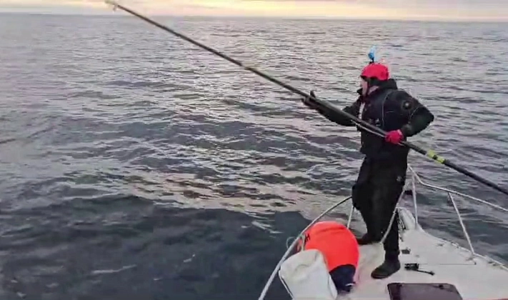 В Мурманской области спасли кита, запутавшегося в сетях