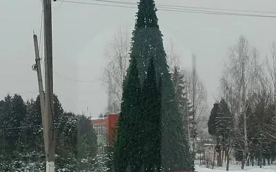 В Подмосковье жители посёлка сами купили игрушки на уличную ёлку