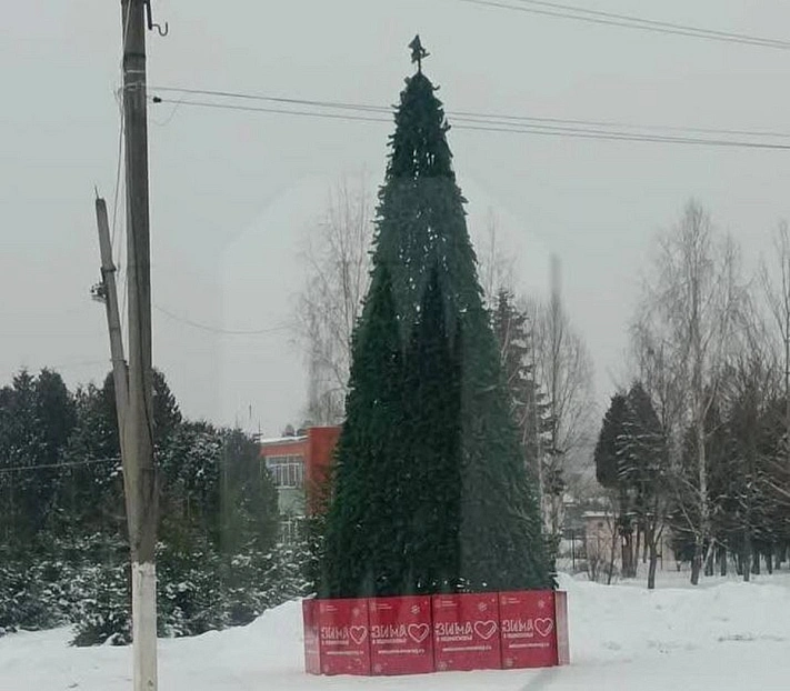 В Подмосковье жители посёлка сами купили игрушки на уличную ёлку