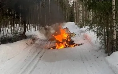 В Подмосковье рванул снегоход