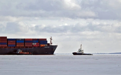 В российском порту вместе с бананами нашли кокаин
