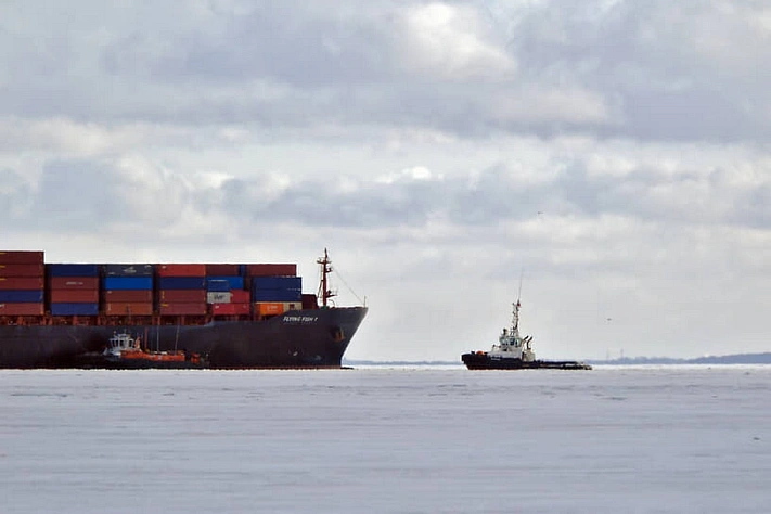 В российском порту вместе с бананами нашли кокаин