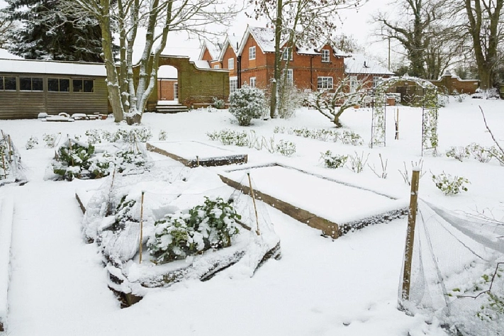 Что делать в саду и огороде в январе