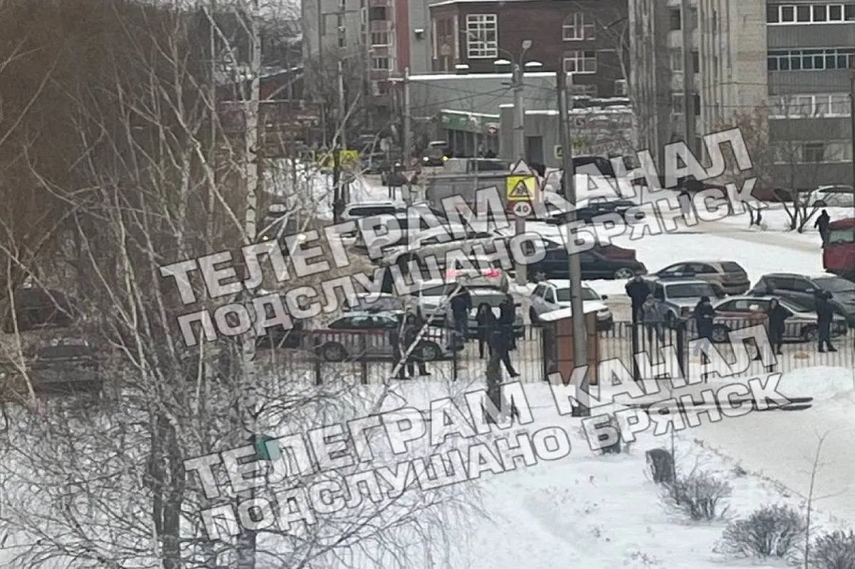 Восьмиклассница из ружья расстреляла одноклассников в Брянске
