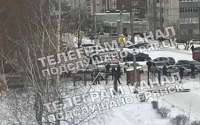 Восьмиклассница из ружья расстреляла одноклассников в Брянске
