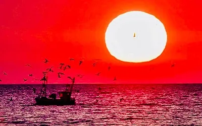 Материал будущего: как новый солнечный фильтр превращает морскую воду в питьевую