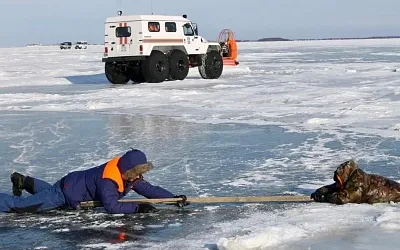 Трое мужчин погибли, провалившись под лёд на озере в Вологодской области