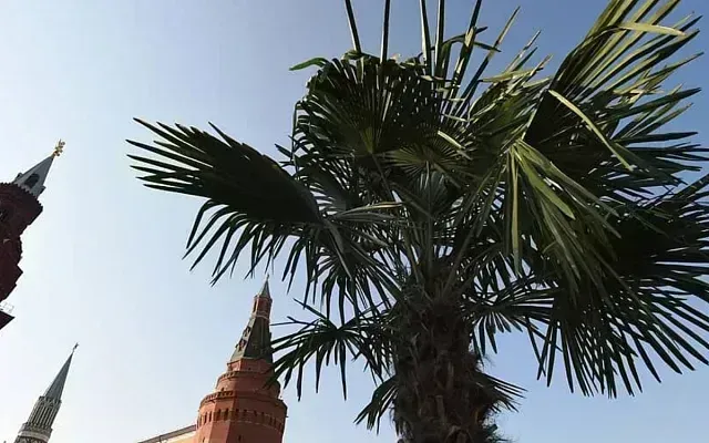 Московское лето может растянуться на пять месяцев?