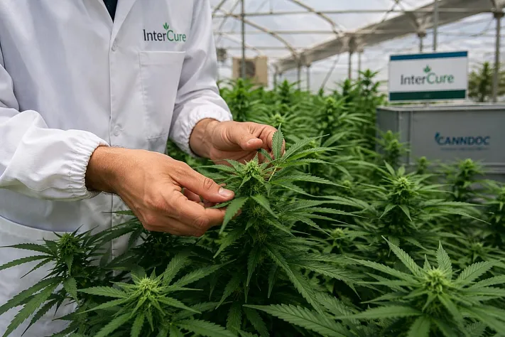 InterCure согласовала 230 млн шекелей компенсации