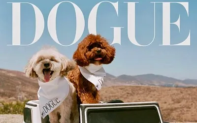 Почему Vogue снимает собак — и что это говорит о моде сейчас?