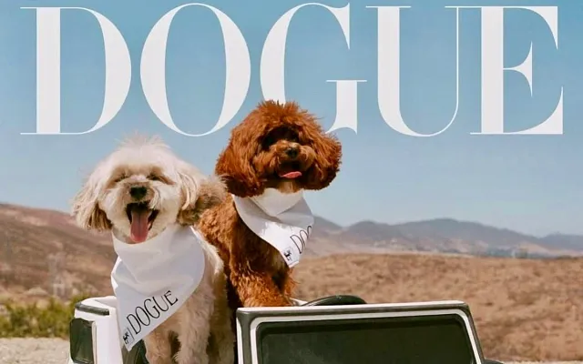 Почему Vogue снимает собак — и что это говорит о моде сейчас?