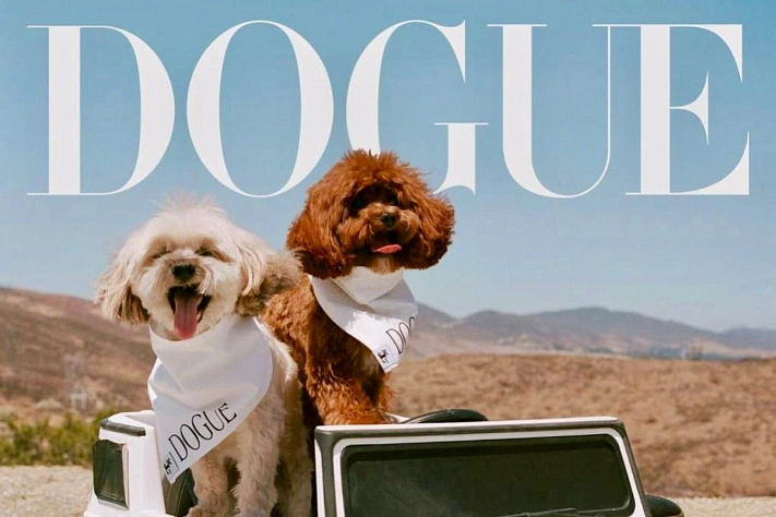 Почему Vogue снимает собак — и что это говорит о моде сейчас?