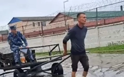 В отношении надзирателя, запрягшего зека в телегу, началась проверка